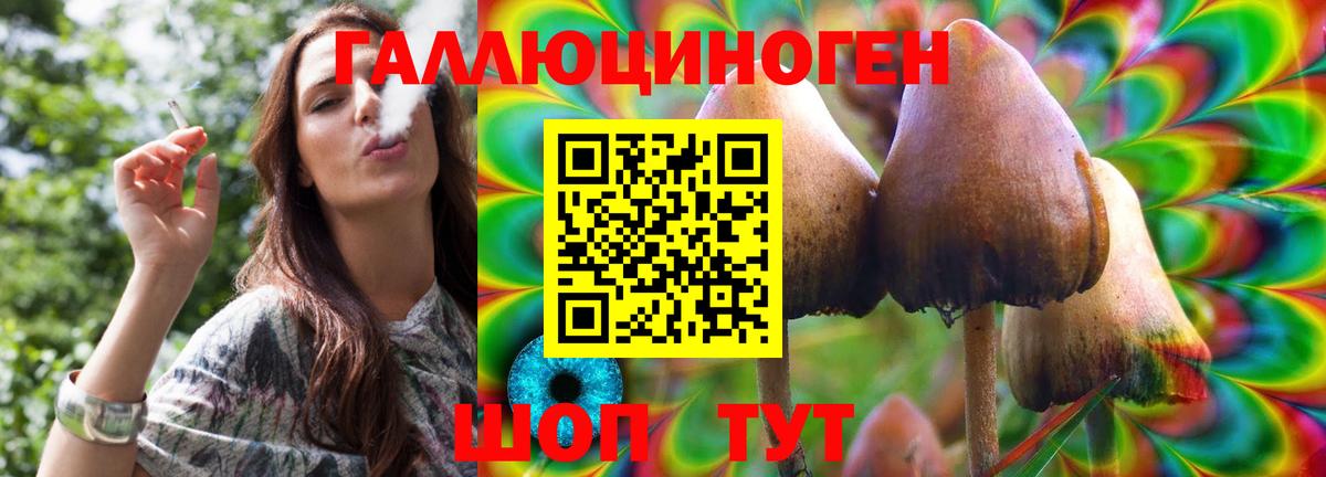Галлюциногенные грибы Psilocybe Шелехов