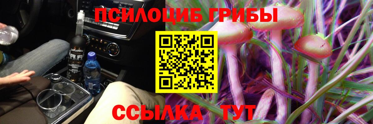 Шелехов  Галлюциногенные грибы мицелий  Вход с VPN 