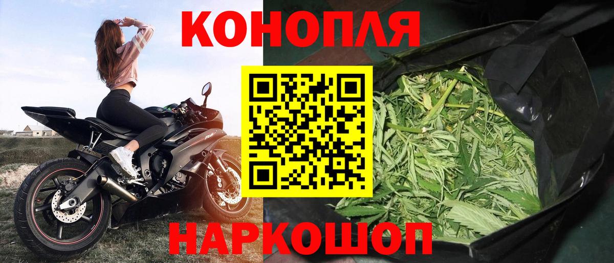 Шишки марихуана семена  Бошки марихуана планчик  Конопля VHQ  Шелехов  Вход с VPN 